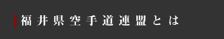福井県空手道連盟とは